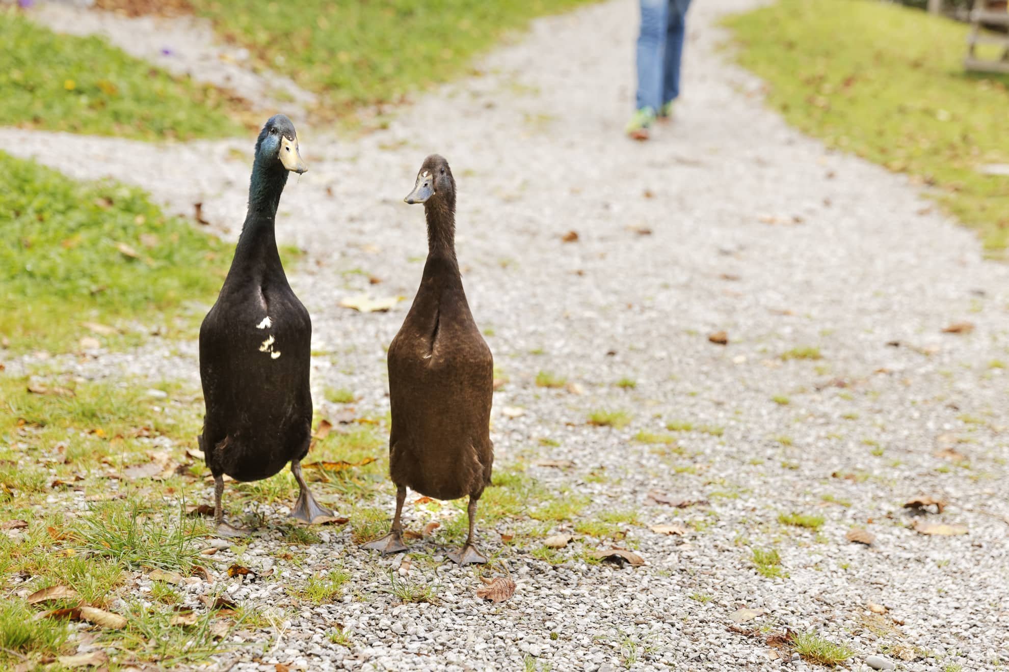 Headerbild Zielgruppe