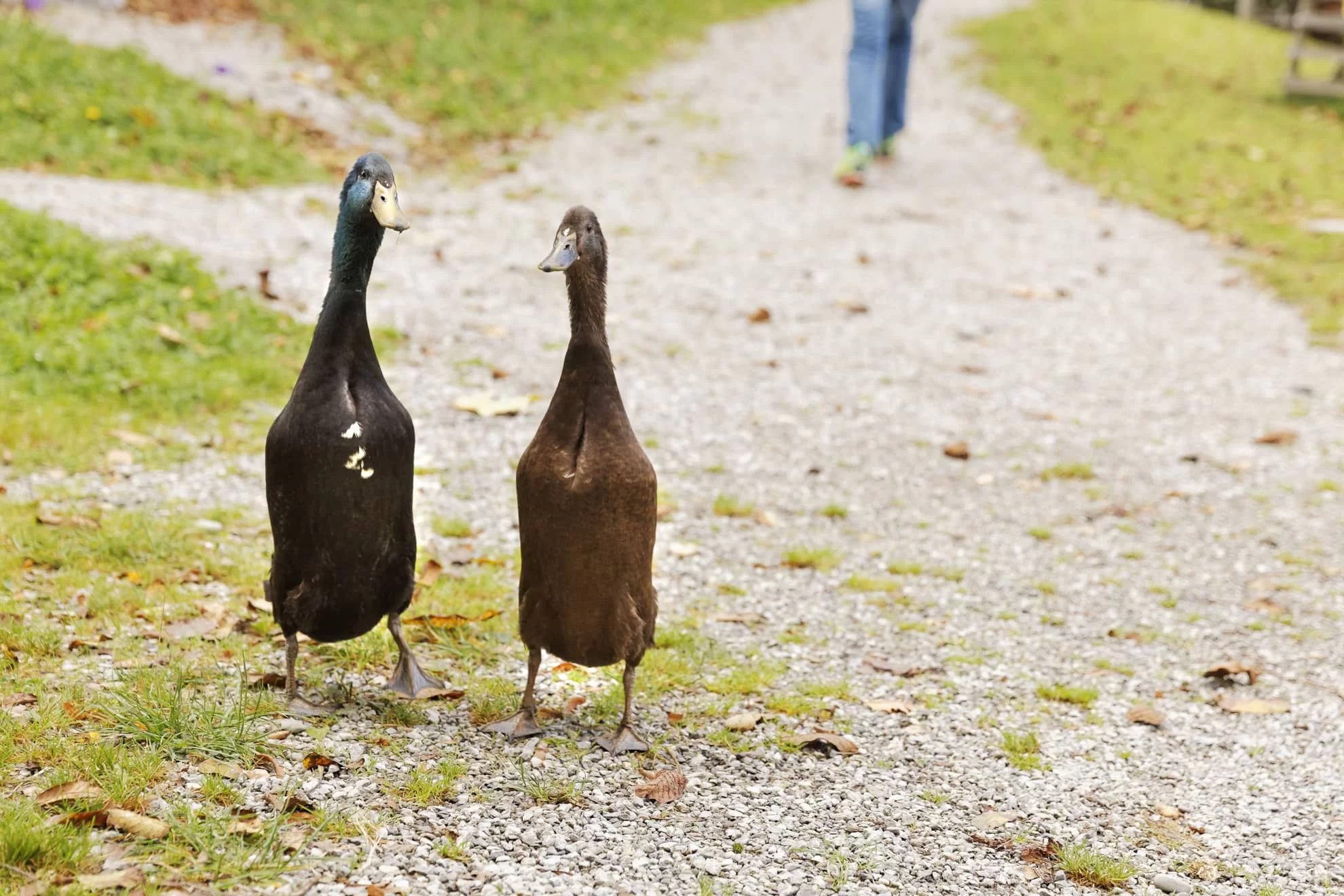 Headerbild Zielgruppe